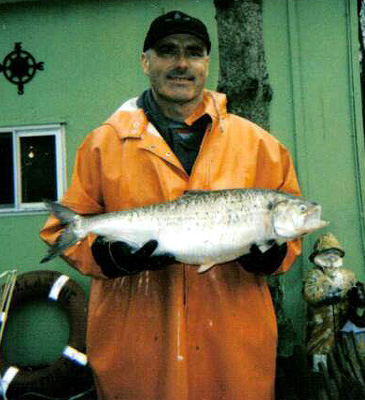 Record photograph for Alosa sapidissima